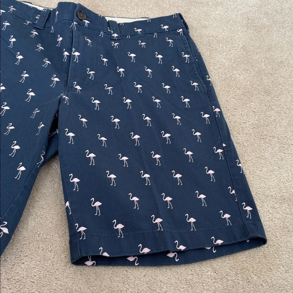 J. Crew Shorts